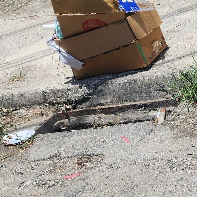 Imagem da publicação