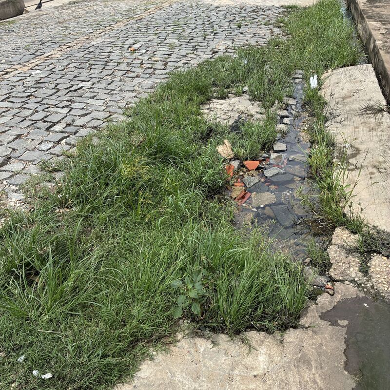 Imagem da publicação