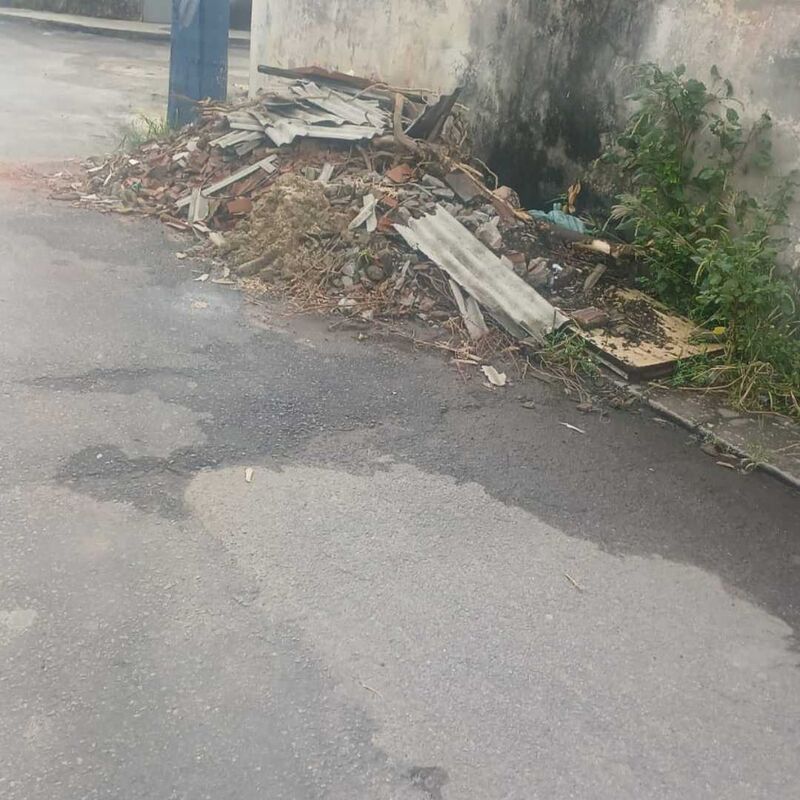 Imagem da publicação