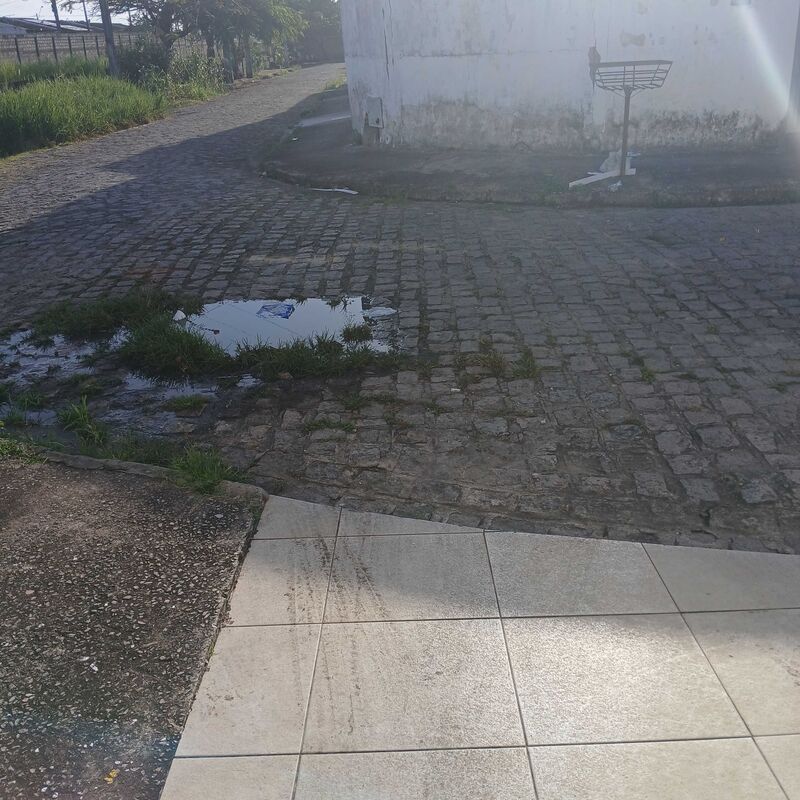 Imagem da publicação