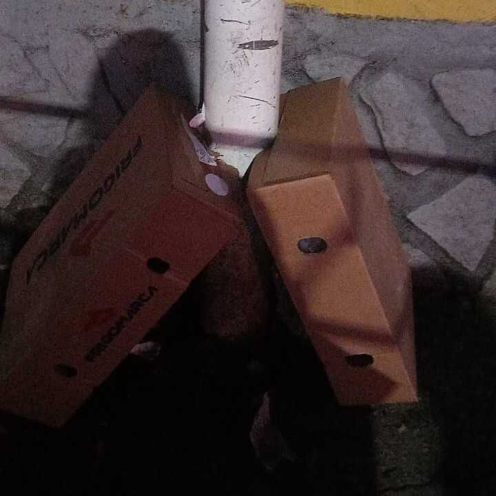Imagem da publicação