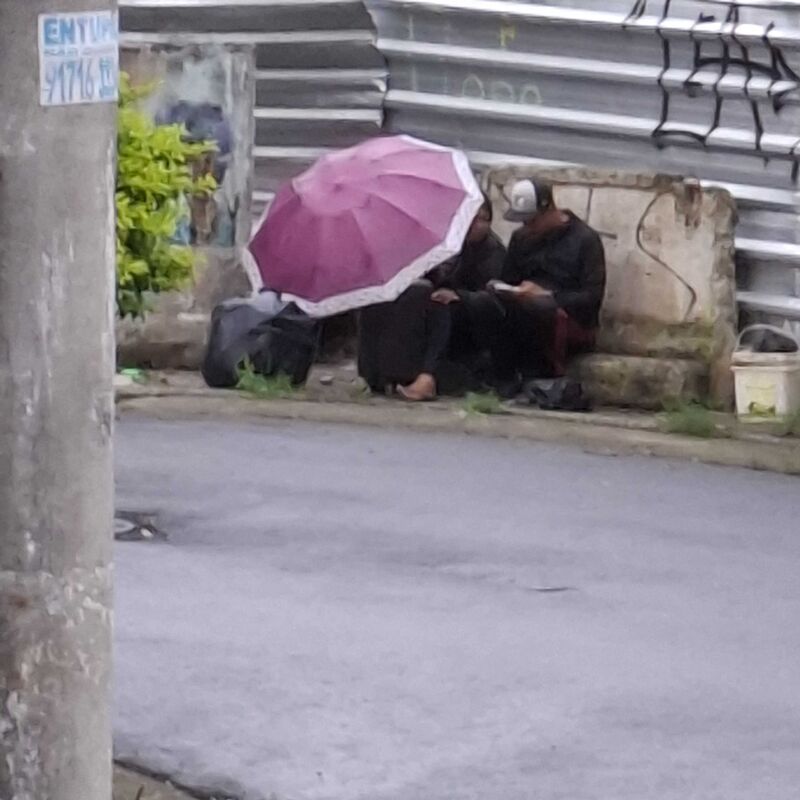 Imagem da publicação