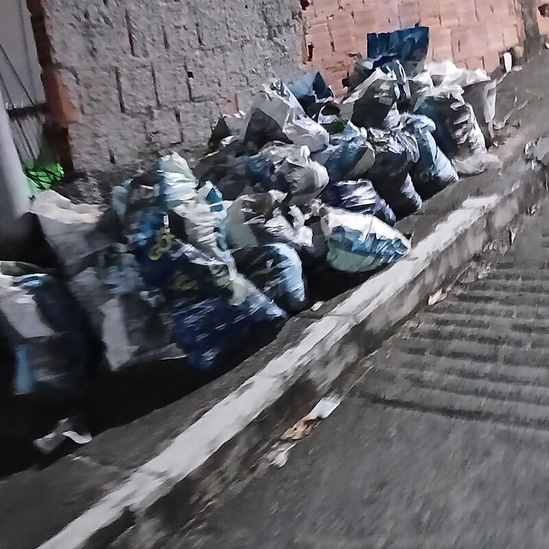 Imagem da publicação