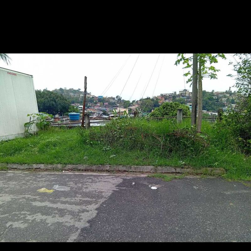 Imagem da publicação