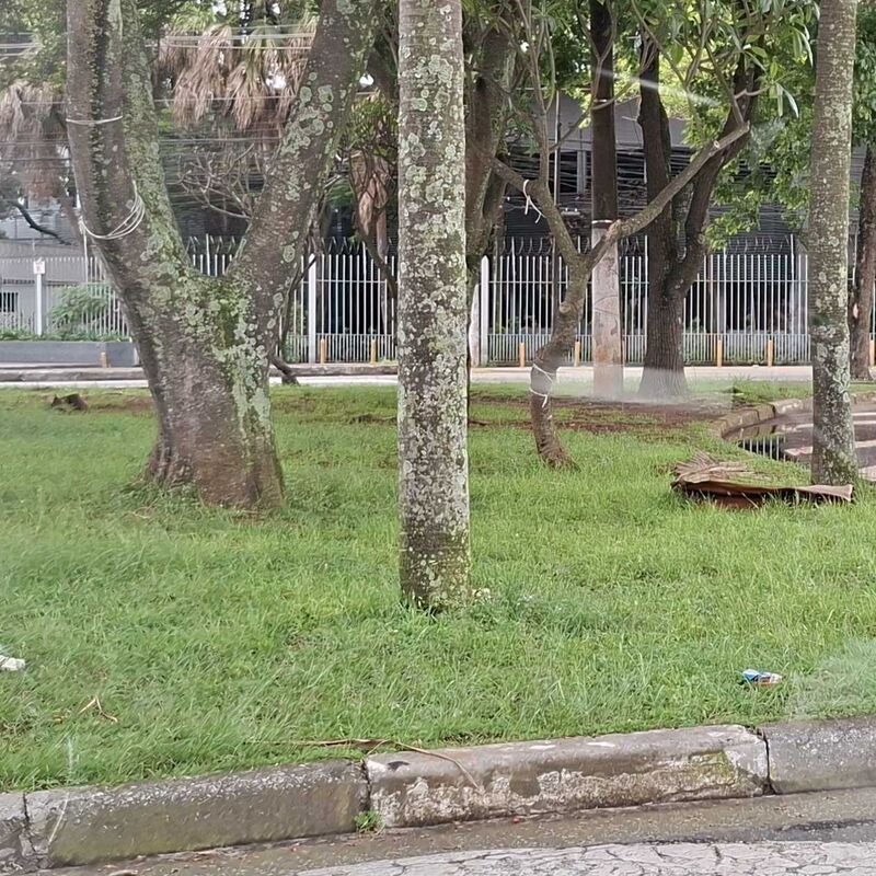 Imagem da publicação