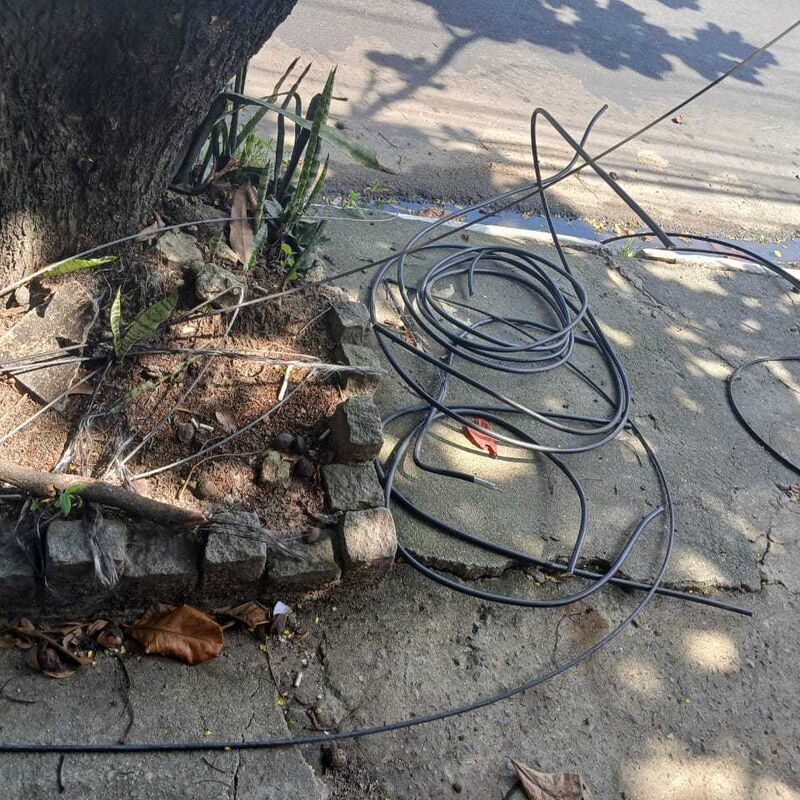 Imagem da publicação