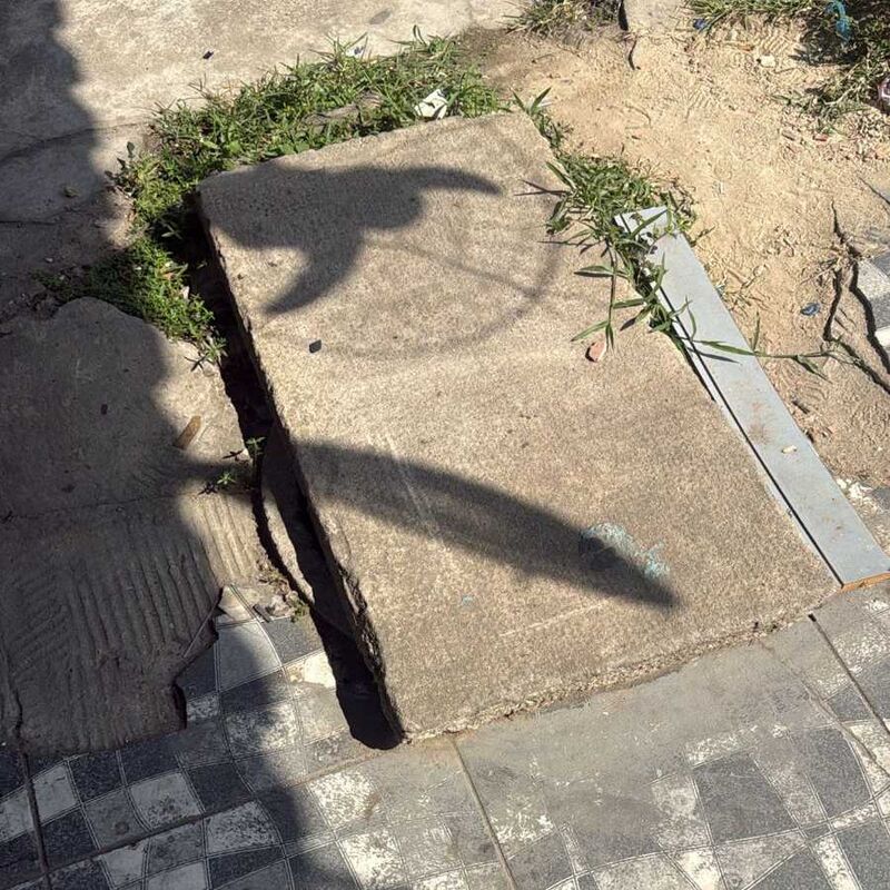 Imagem da publicação