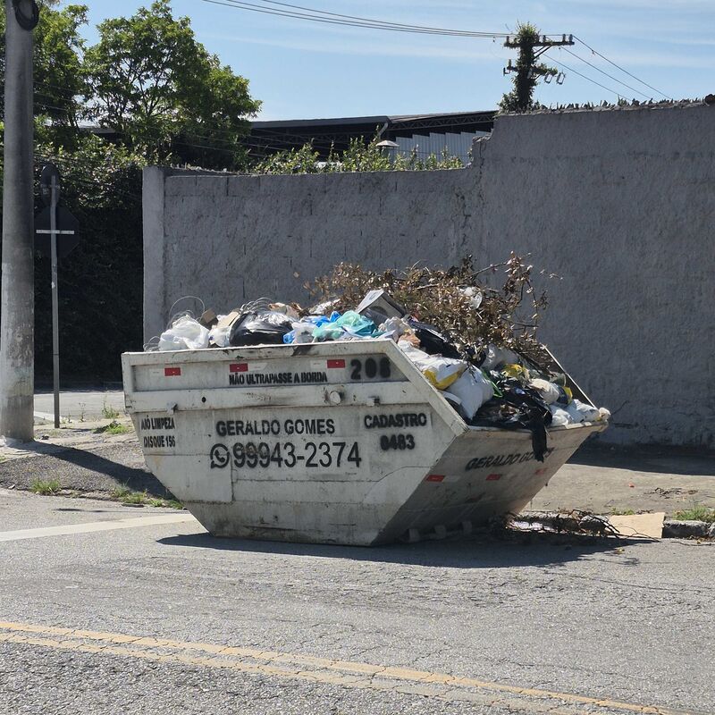 Imagem da publicação