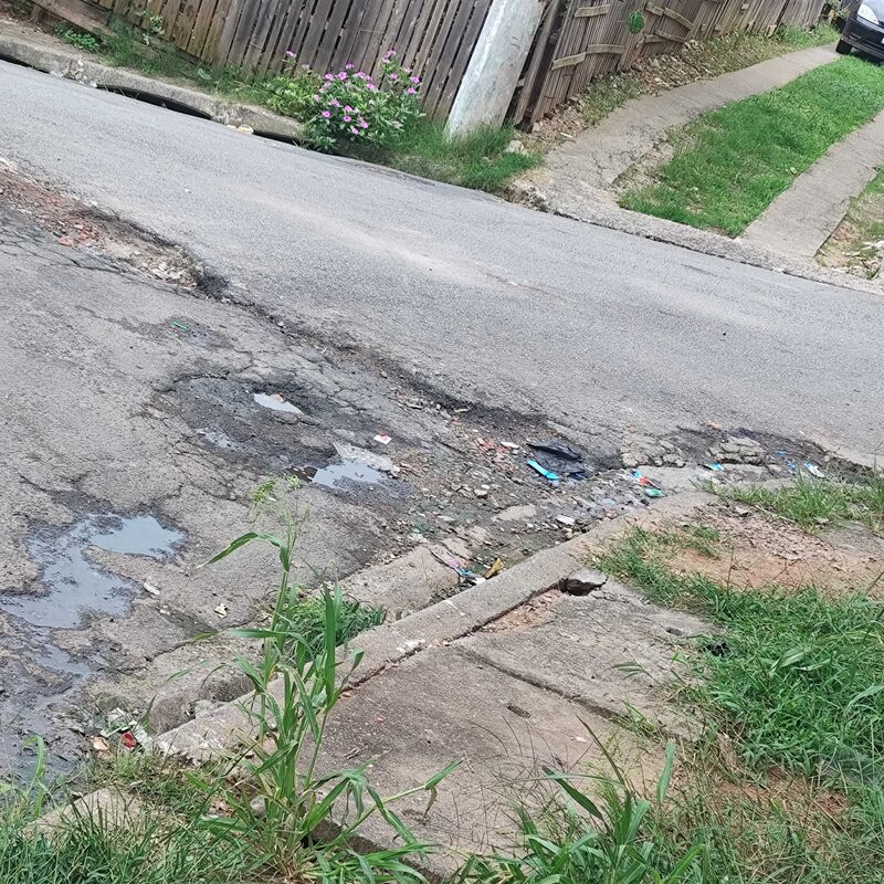 Imagem da publicação