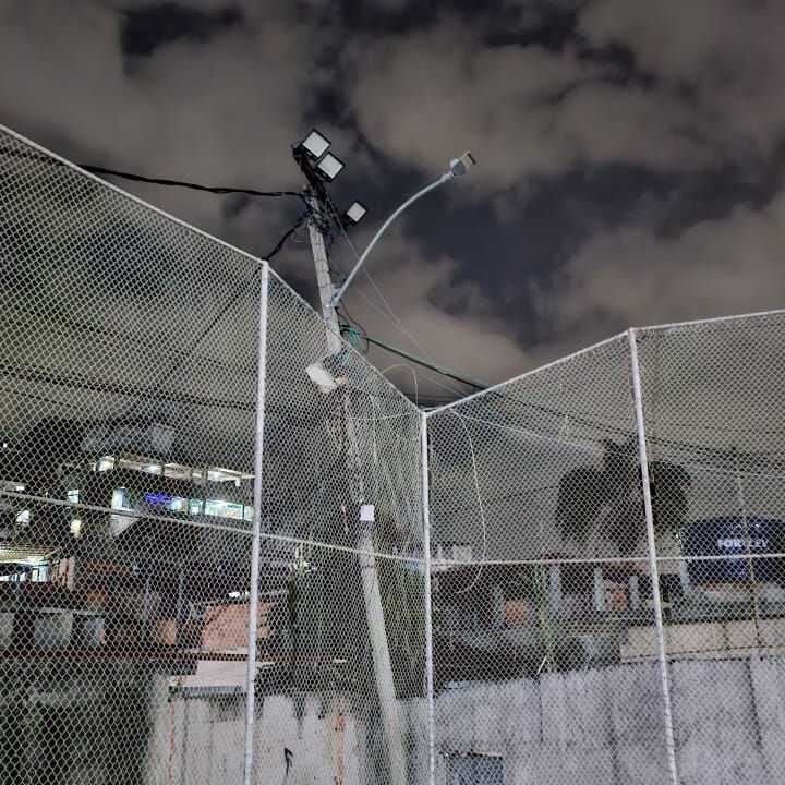 Imagem da publicação