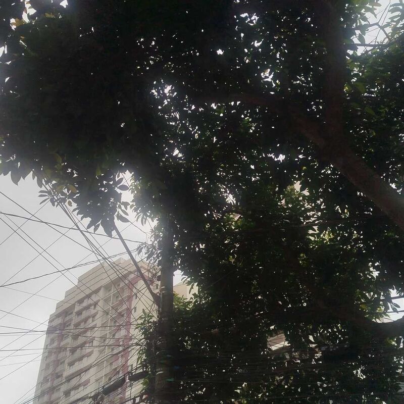 Imagem da publicação