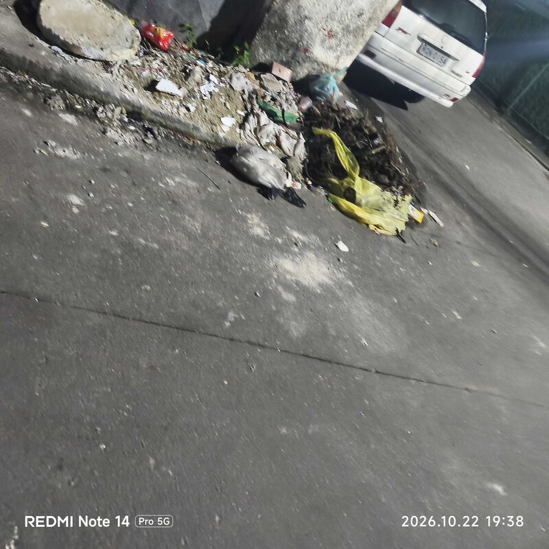 Imagem da publicação
