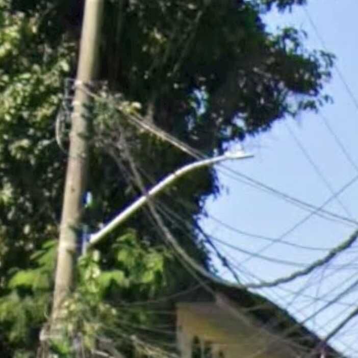 Imagem da publicação