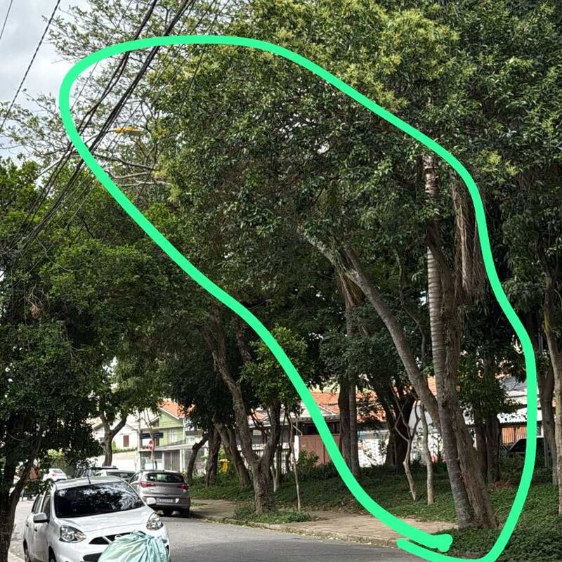 Imagem da publicação