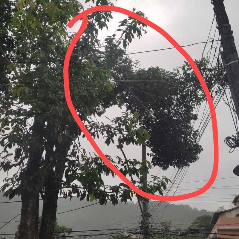 Imagem da publicação