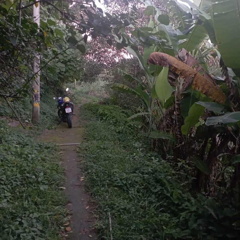 Imagem da publicação