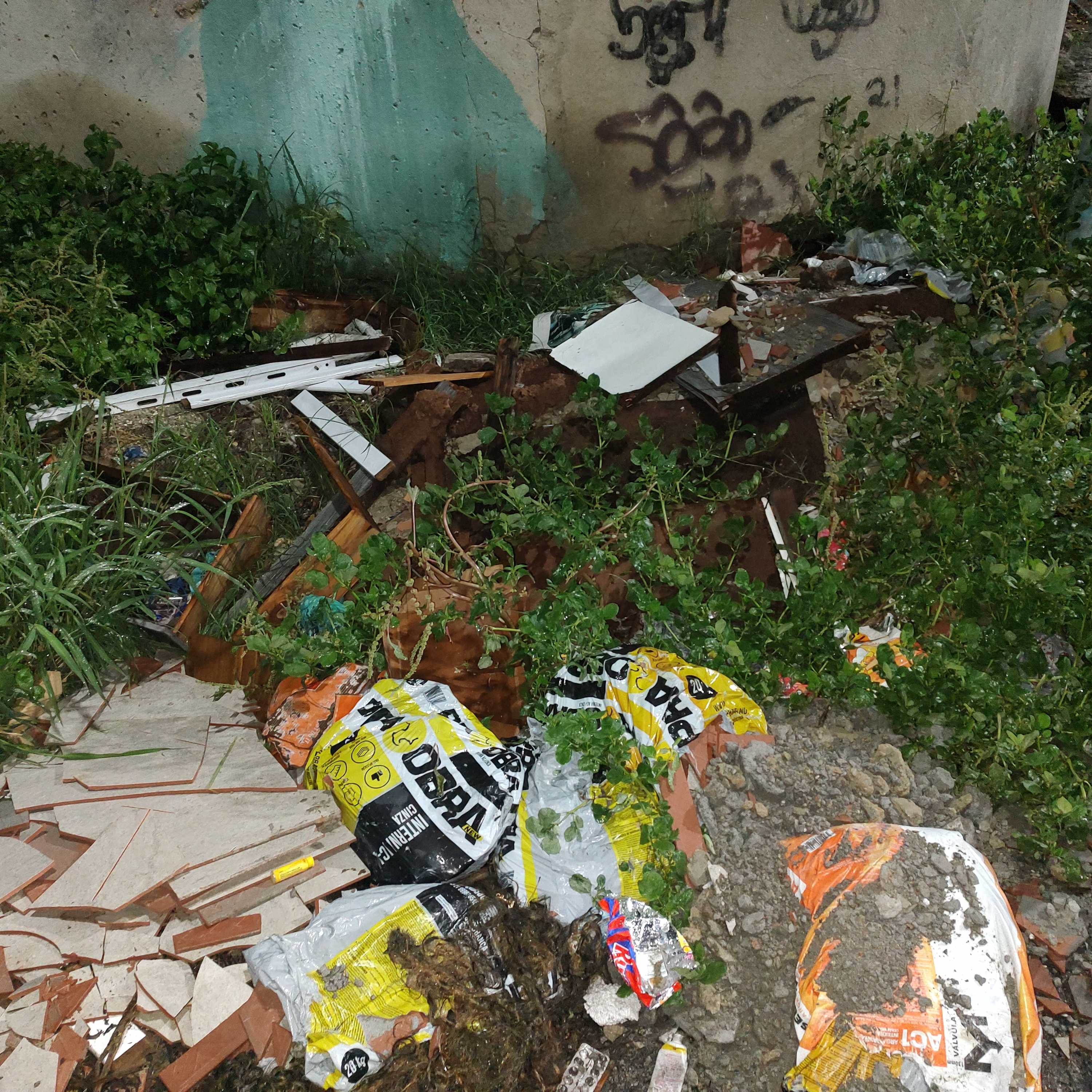 Imagem da publicação