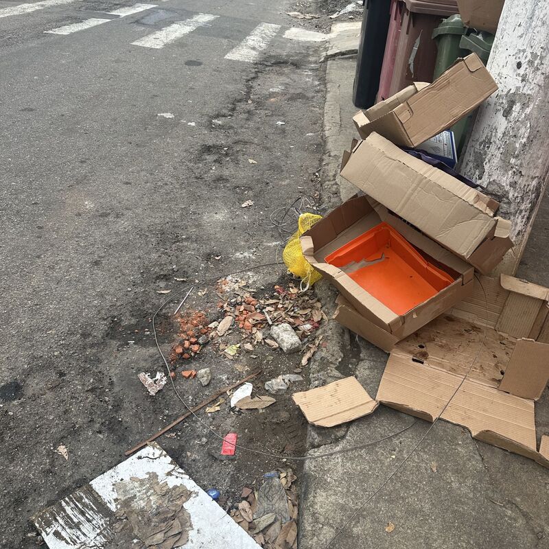 Imagem da publicação