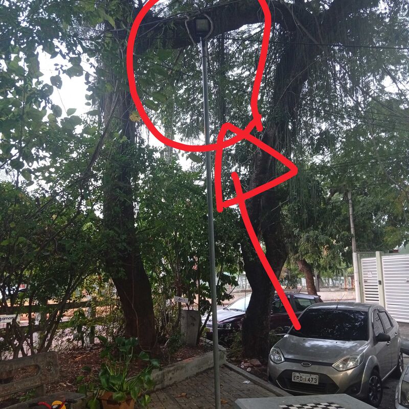 Imagem da publicação