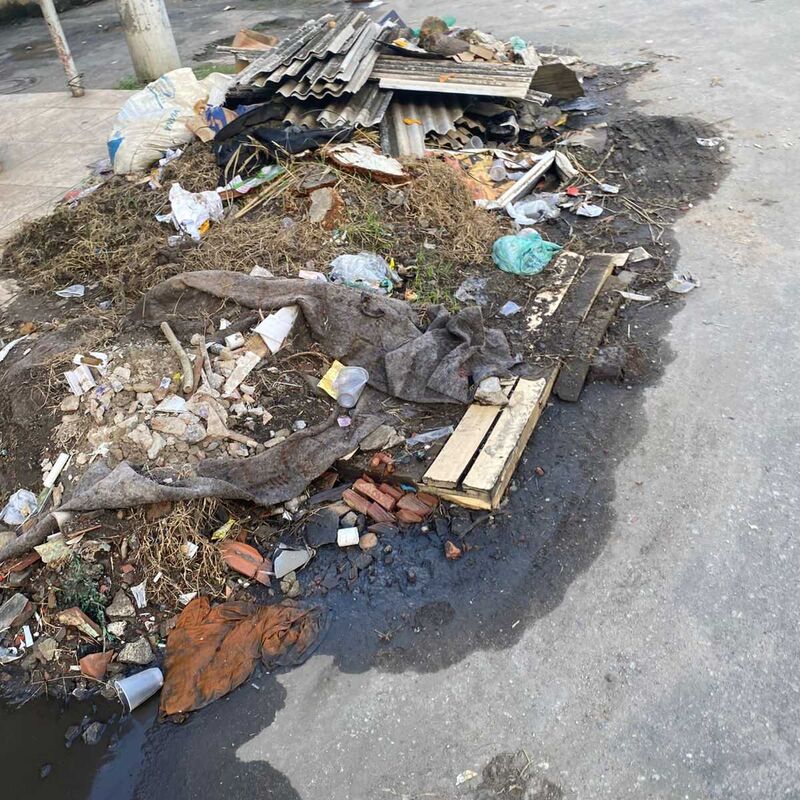 Imagem da publicação
