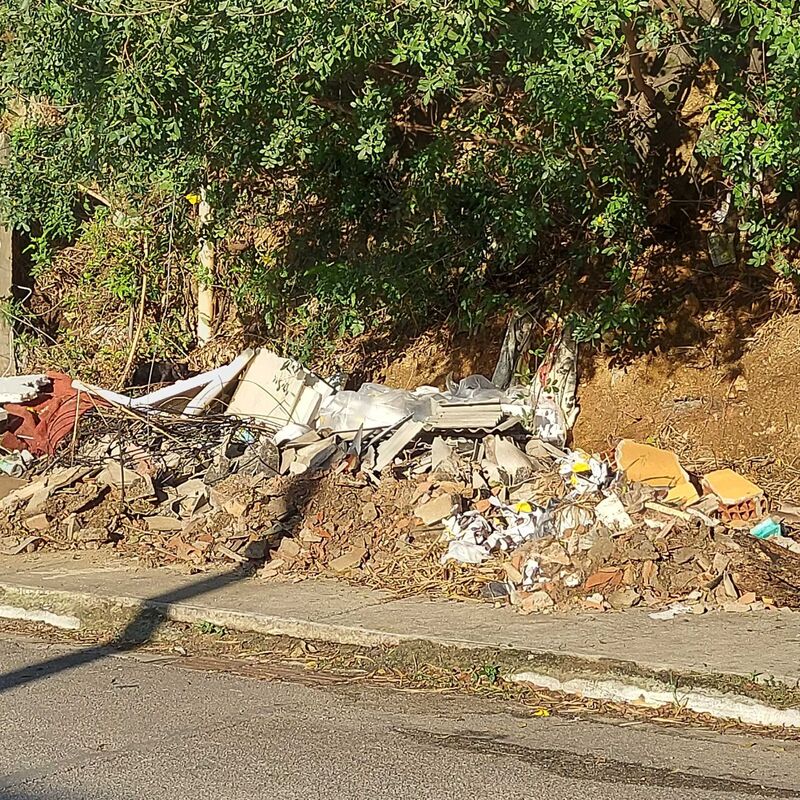 Imagem da publicação