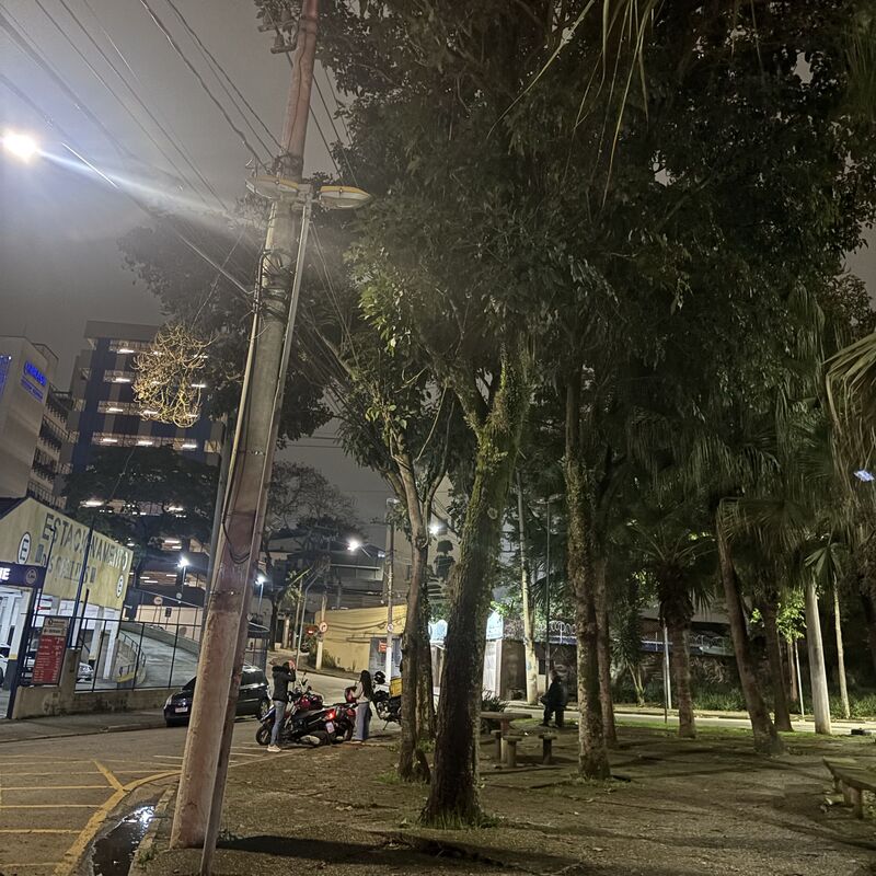 Imagem da publicação