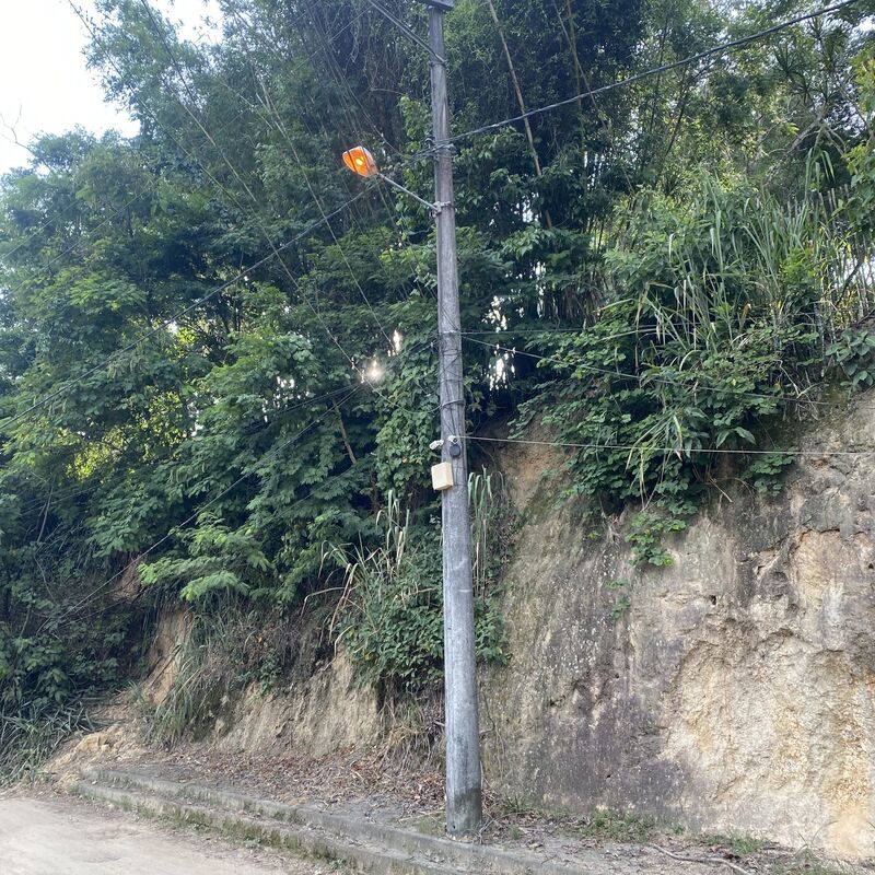 Imagem da publicação