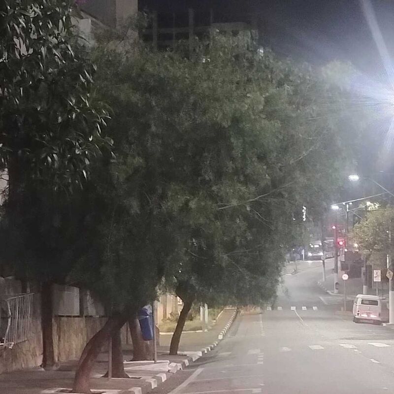 Imagem da publicação