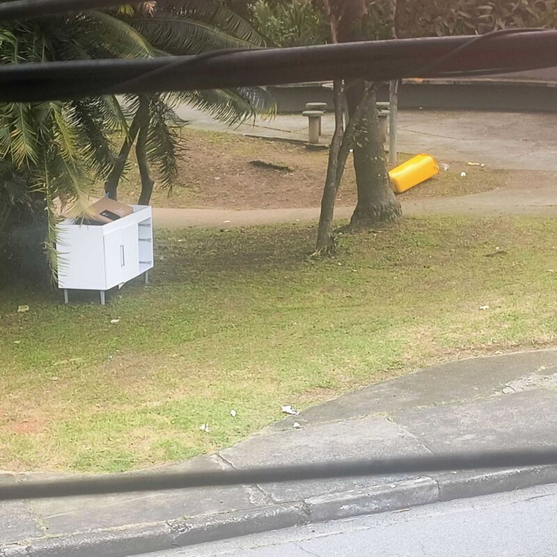 Imagem da publicação