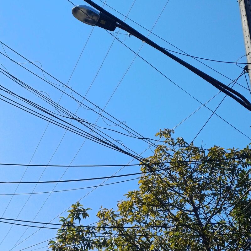 Imagem da publicação