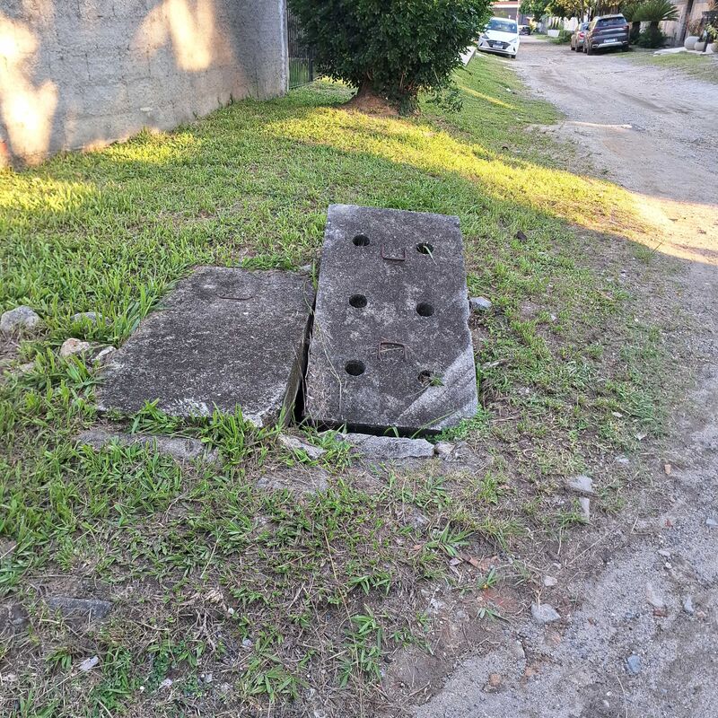 Imagem da publicação