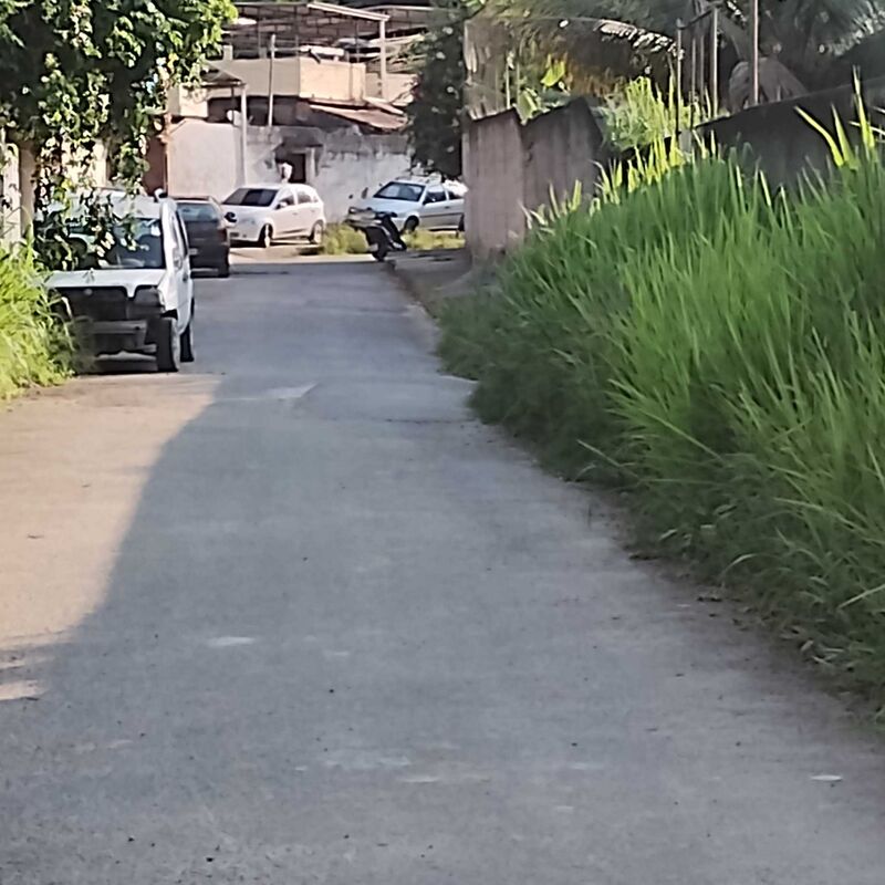 Imagem da publicação