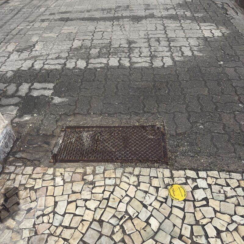 Imagem da publicação