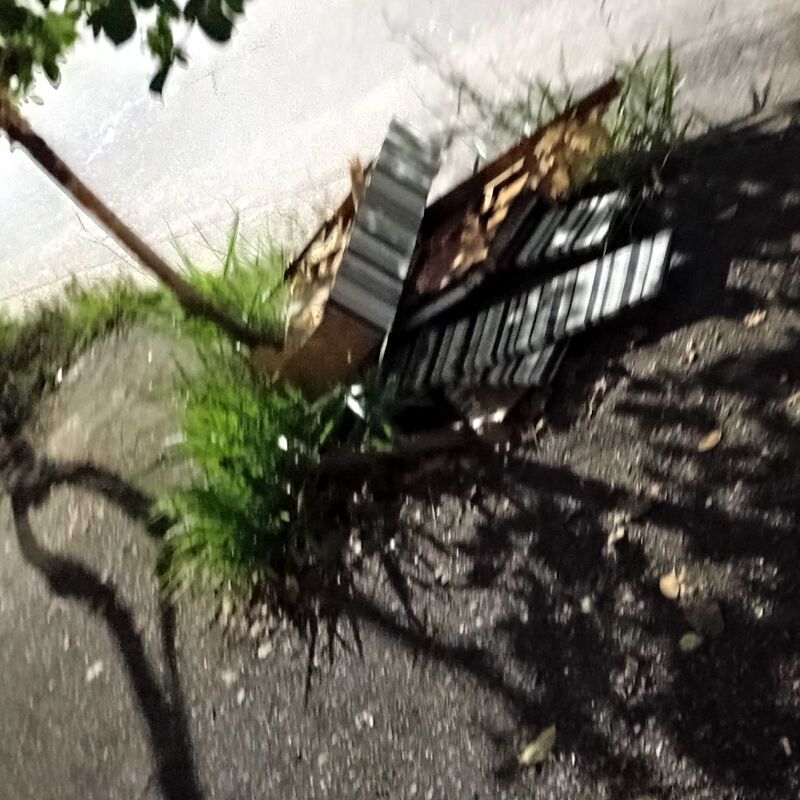 Imagem da publicação