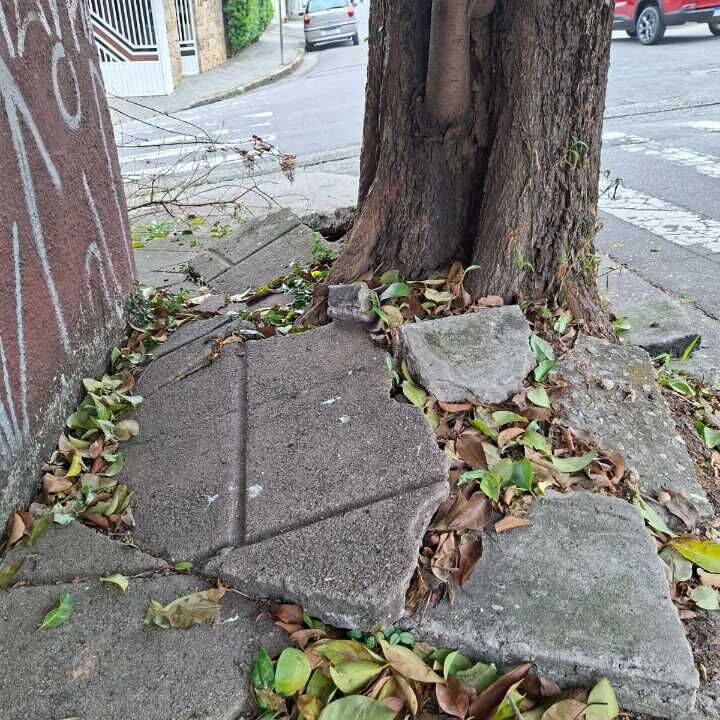 Imagem da publicação