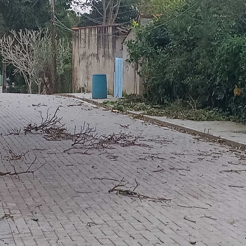 Imagem da publicação