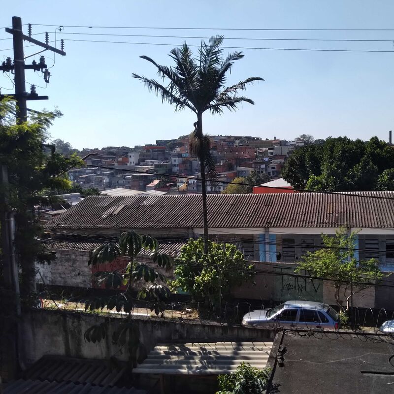 Imagem da publicação