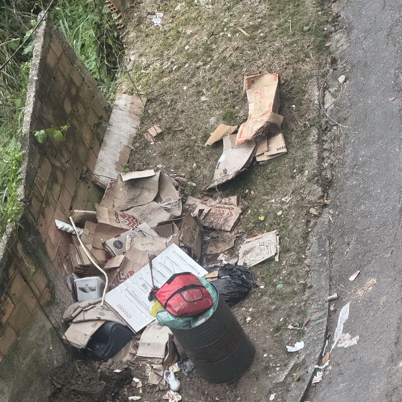 Imagem da publicação