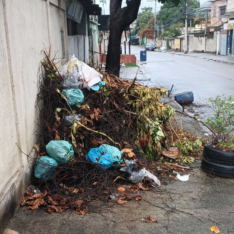 Imagem da publicação
