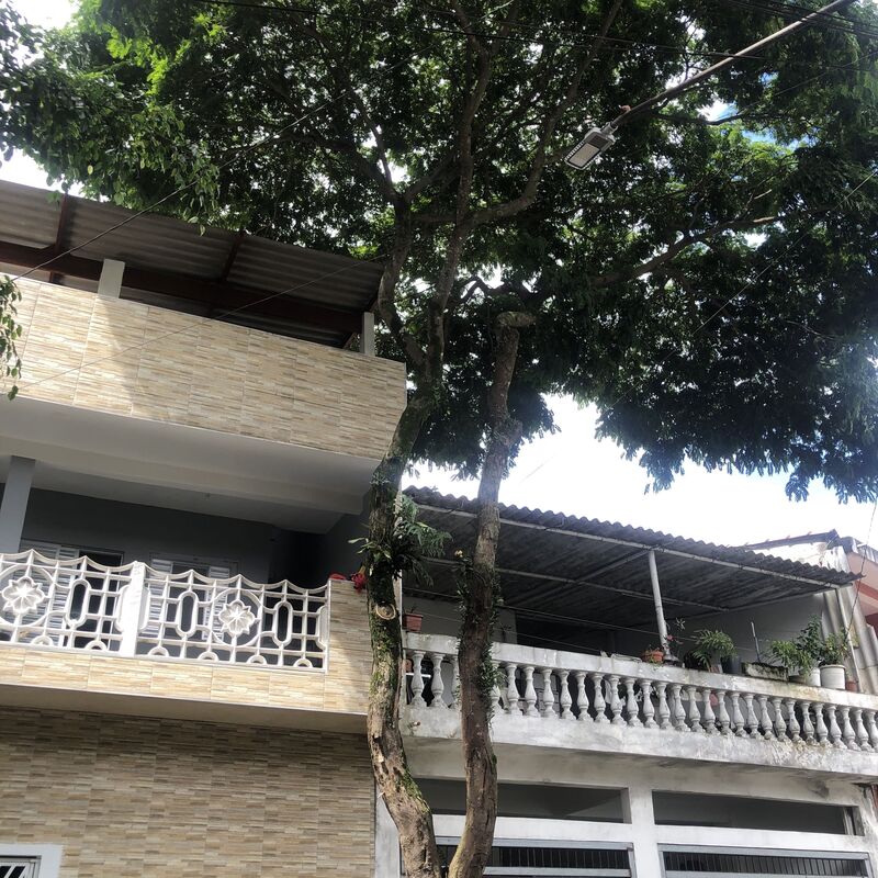 Imagem da publicação