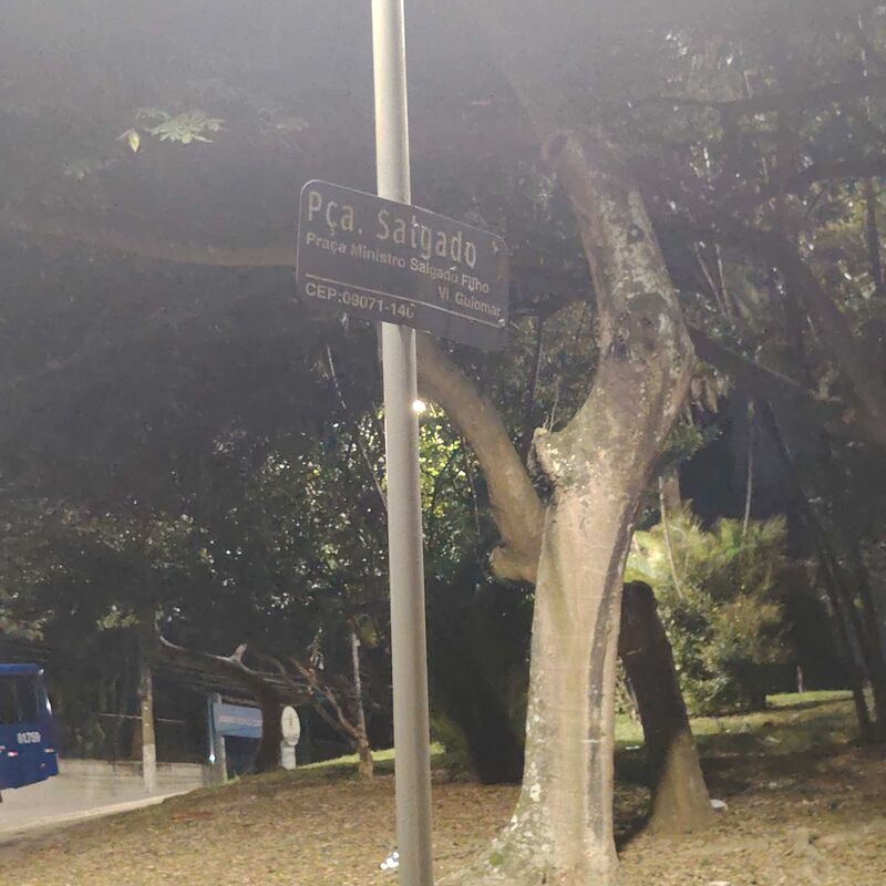 Imagem da publicação