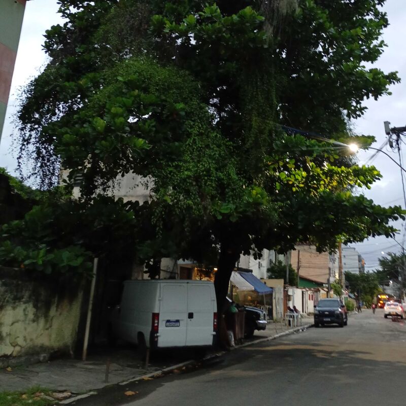 Imagem da publicação