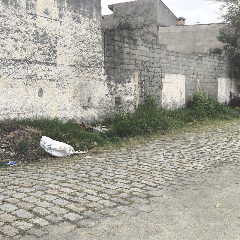 Imagem da publicação