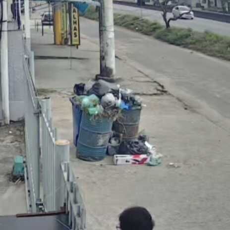 Imagem da publicação