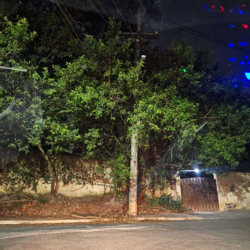 Imagem da publicação