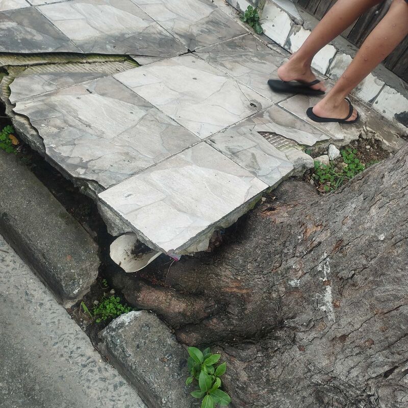 Imagem da publicação