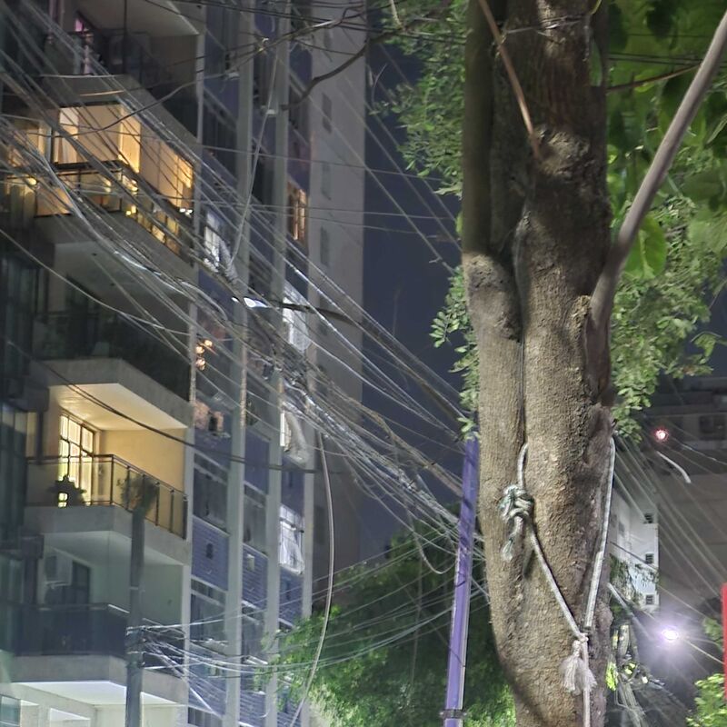 Imagem da publicação