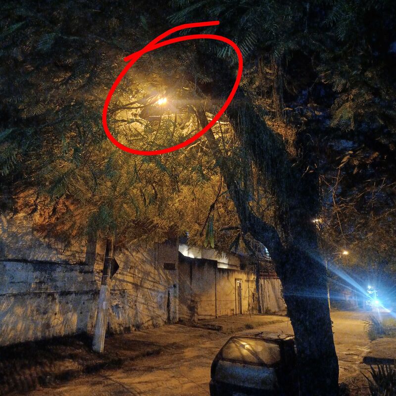 Imagem da publicação