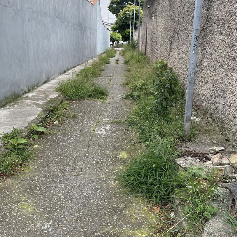 Imagem da publicação