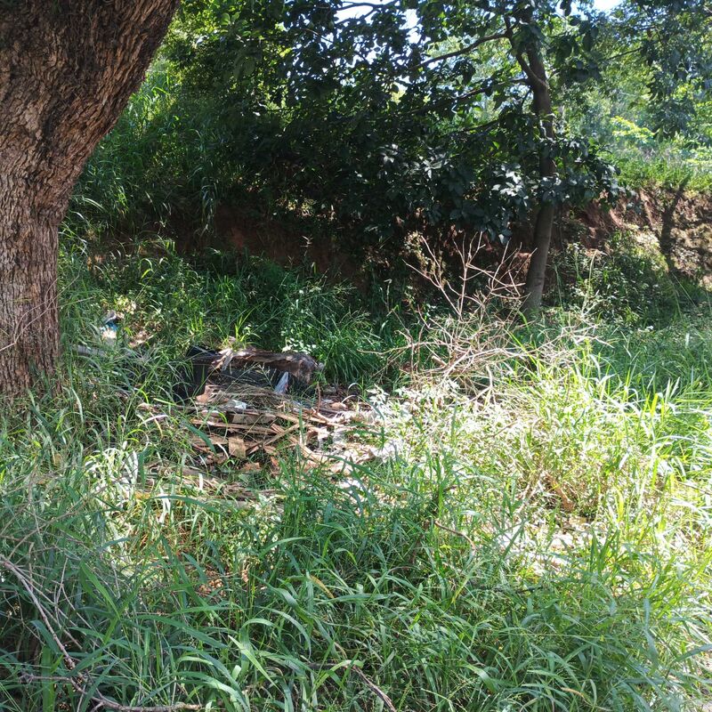 Imagem da publicação